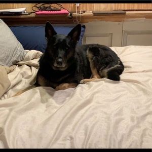 Meet your Posher, Nichole